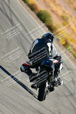 media/Oct-24-2025-2WTD (Fri) [[491f36c2bf]]/C Group/Session 3 (Turn 5)/